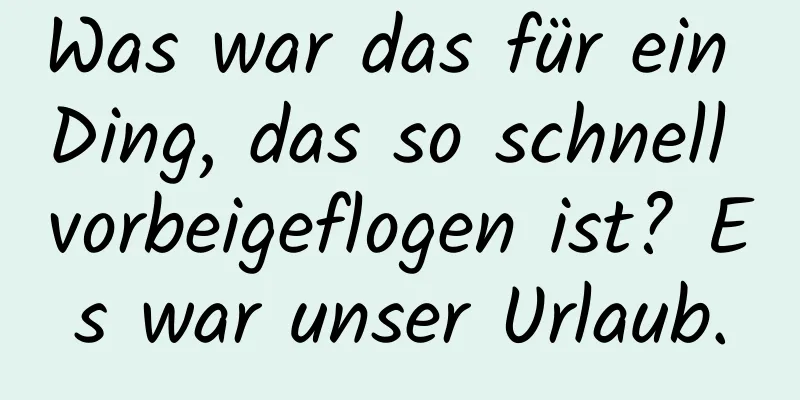 Was war das für ein Ding, das so schnell vorbeigeflogen ist? Es war unser Urlaub.