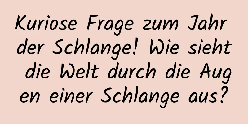 Kuriose Frage zum Jahr der Schlange! Wie sieht die Welt durch die Augen einer Schlange aus?