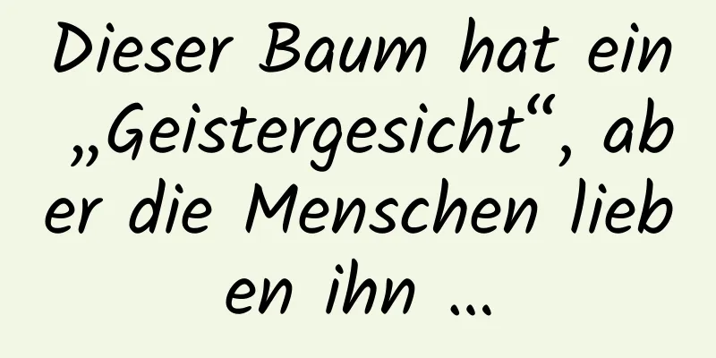 Dieser Baum hat ein „Geistergesicht“, aber die Menschen lieben ihn …