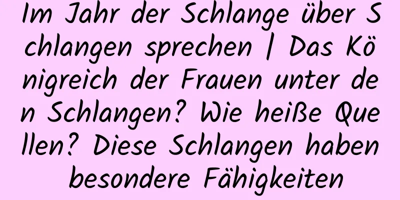 Im Jahr der Schlange über Schlangen sprechen | Das Königreich der Frauen unter den Schlangen? Wie heiße Quellen? Diese Schlangen haben besondere Fähigkeiten