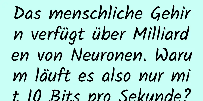 Das menschliche Gehirn verfügt über Milliarden von Neuronen. Warum läuft es also nur mit 10 Bits pro Sekunde?