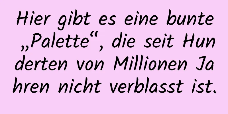 Hier gibt es eine bunte „Palette“, die seit Hunderten von Millionen Jahren nicht verblasst ist.