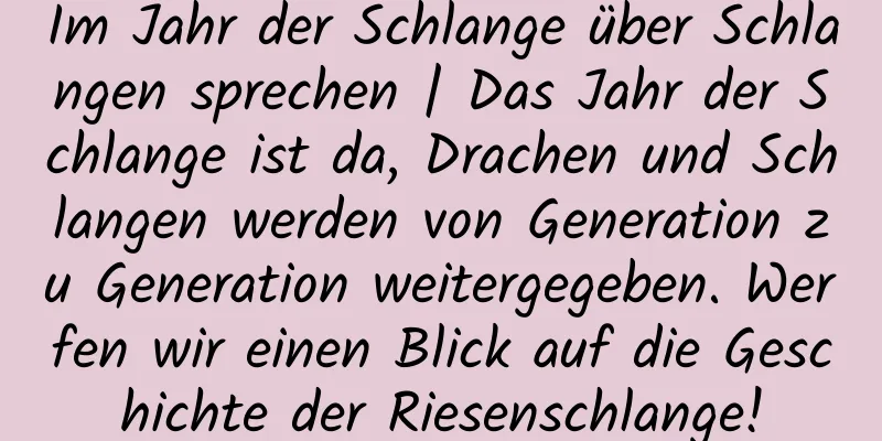 Im Jahr der Schlange über Schlangen sprechen | Das Jahr der Schlange ist da, Drachen und Schlangen werden von Generation zu Generation weitergegeben. Werfen wir einen Blick auf die Geschichte der Riesenschlange!
