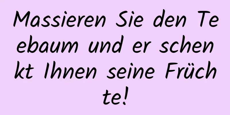 Massieren Sie den Teebaum und er schenkt Ihnen seine Früchte!