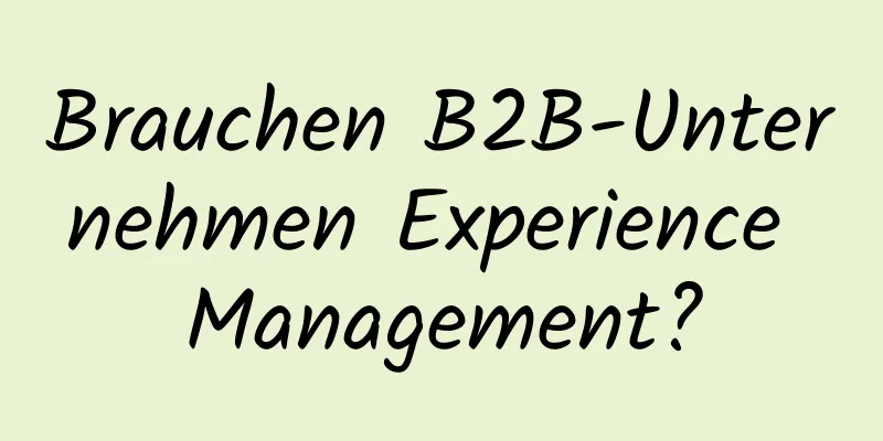 Brauchen B2B-Unternehmen Experience Management?
