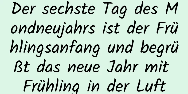 Der sechste Tag des Mondneujahrs ist der Frühlingsanfang und begrüßt das neue Jahr mit Frühling in der Luft
