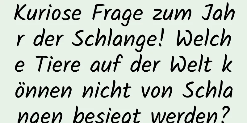 Kuriose Frage zum Jahr der Schlange! Welche Tiere auf der Welt können nicht von Schlangen besiegt werden?