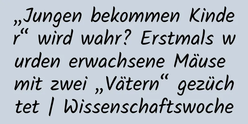 „Jungen bekommen Kinder“ wird wahr? Erstmals wurden erwachsene Mäuse mit zwei „Vätern“ gezüchtet | Wissenschaftswoche