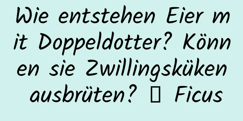 Wie entstehen Eier mit Doppeldotter? Können sie Zwillingsküken ausbrüten? ｜ Ficus