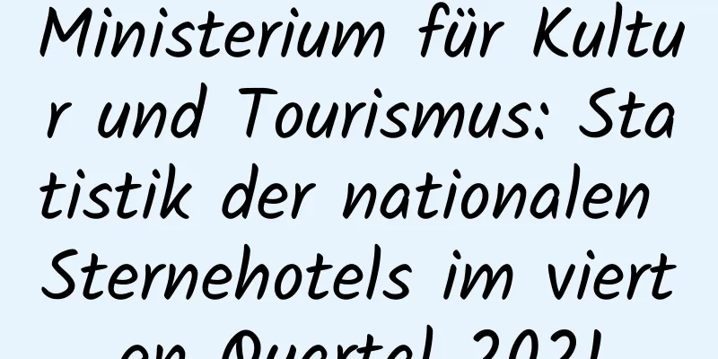 Ministerium für Kultur und Tourismus: Statistik der nationalen Sternehotels im vierten Quartal 2021