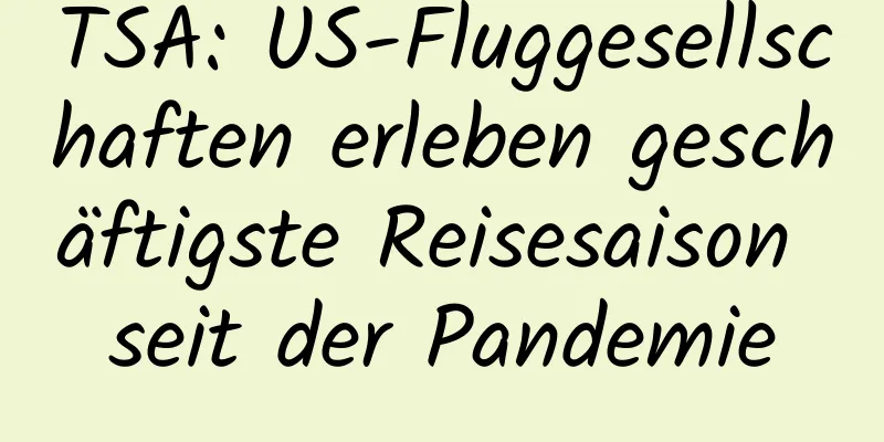 TSA: US-Fluggesellschaften erleben geschäftigste Reisesaison seit der Pandemie