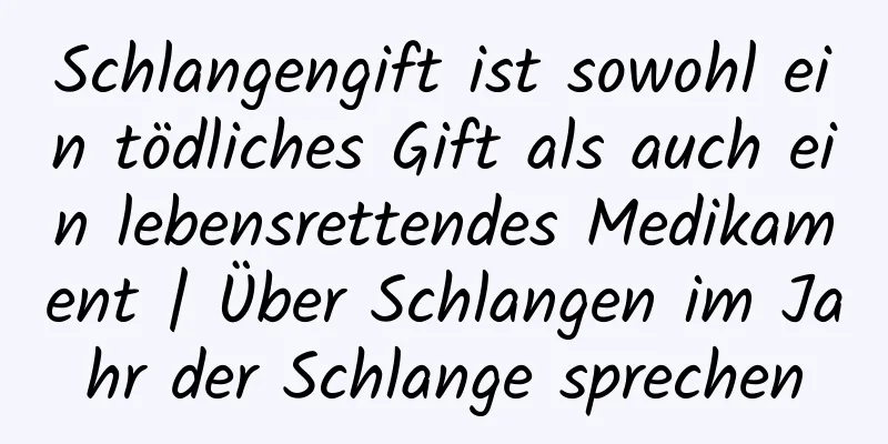 Schlangengift ist sowohl ein tödliches Gift als auch ein lebensrettendes Medikament | Über Schlangen im Jahr der Schlange sprechen
