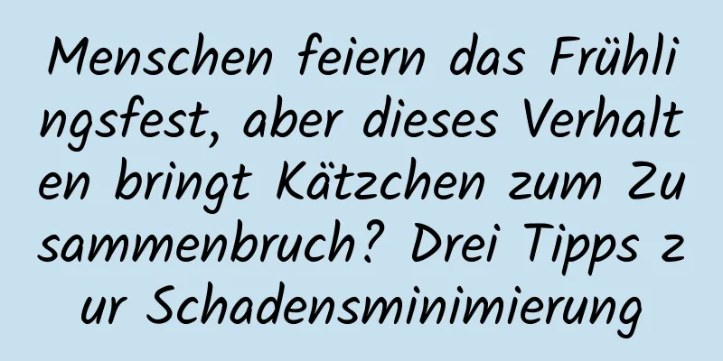 Menschen feiern das Frühlingsfest, aber dieses Verhalten bringt Kätzchen zum Zusammenbruch? Drei Tipps zur Schadensminimierung