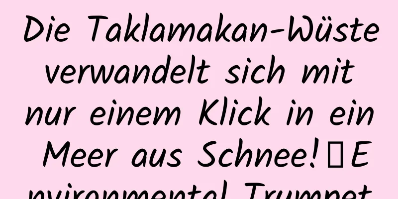 Die Taklamakan-Wüste verwandelt sich mit nur einem Klick in ein Meer aus Schnee!丨Environmental Trumpet