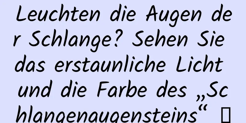 Leuchten die Augen der Schlange? Sehen Sie das erstaunliche Licht und die Farbe des „Schlangenaugensteins“ →