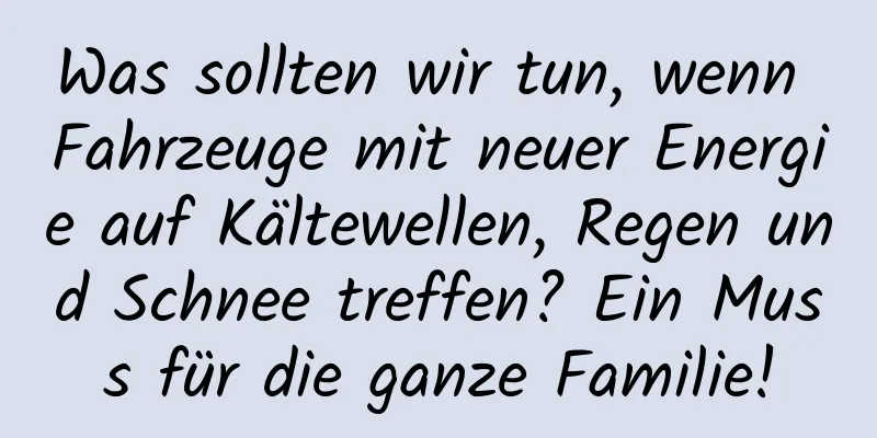 Was sollten wir tun, wenn Fahrzeuge mit neuer Energie auf Kältewellen, Regen und Schnee treffen? Ein Muss für die ganze Familie!