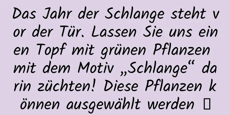Das Jahr der Schlange steht vor der Tür. Lassen Sie uns einen Topf mit grünen Pflanzen mit dem Motiv „Schlange“ darin züchten! Diese Pflanzen können ausgewählt werden →