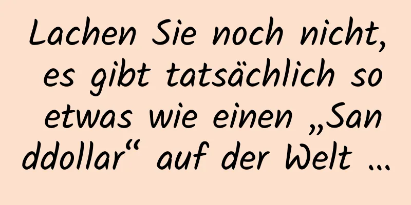 Lachen Sie noch nicht, es gibt tatsächlich so etwas wie einen „Sanddollar“ auf der Welt …