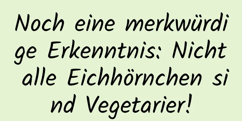 Noch eine merkwürdige Erkenntnis: Nicht alle Eichhörnchen sind Vegetarier!