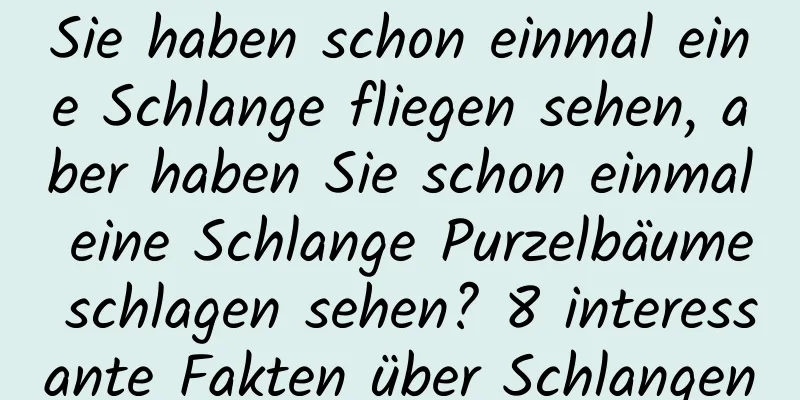 Sie haben schon einmal eine Schlange fliegen sehen, aber haben Sie schon einmal eine Schlange Purzelbäume schlagen sehen? 8 interessante Fakten über Schlangen