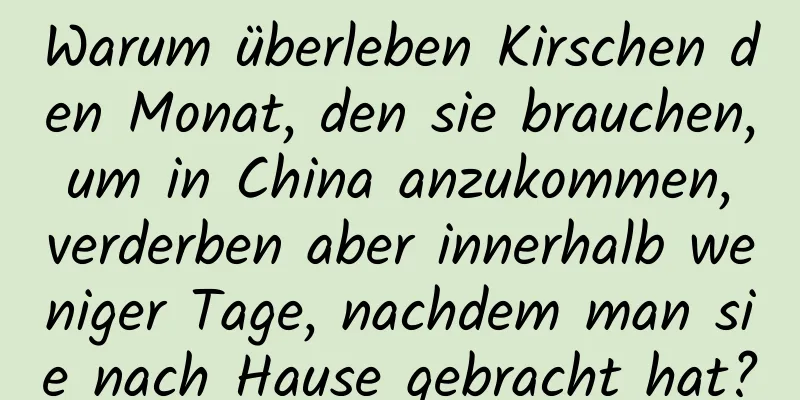 Warum überleben Kirschen den Monat, den sie brauchen, um in China anzukommen, verderben aber innerhalb weniger Tage, nachdem man sie nach Hause gebracht hat?