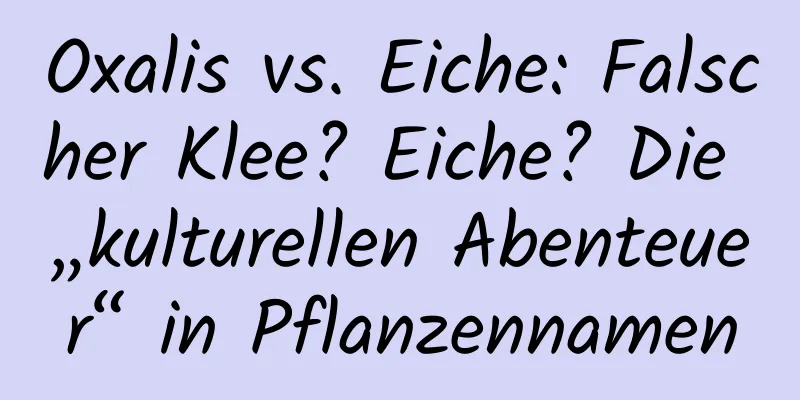 Oxalis vs. Eiche: Falscher Klee? Eiche? Die „kulturellen Abenteuer“ in Pflanzennamen