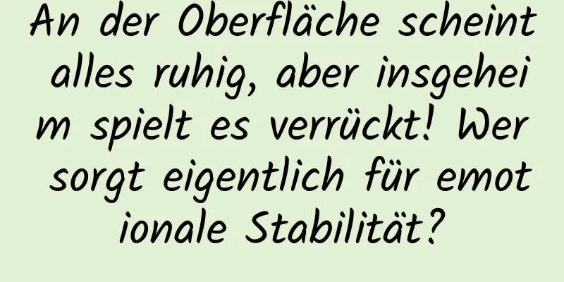 An der Oberfläche scheint alles ruhig, aber insgeheim spielt es verrückt! Wer sorgt eigentlich für emotionale Stabilität?