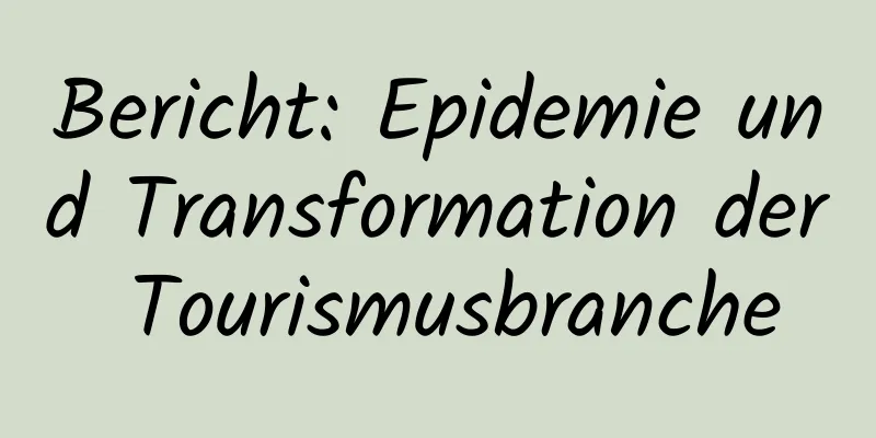 Bericht: Epidemie und Transformation der Tourismusbranche