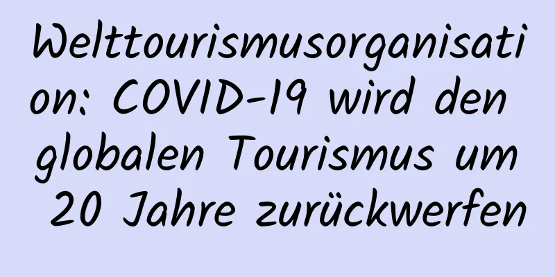 Welttourismusorganisation: COVID-19 wird den globalen Tourismus um 20 Jahre zurückwerfen