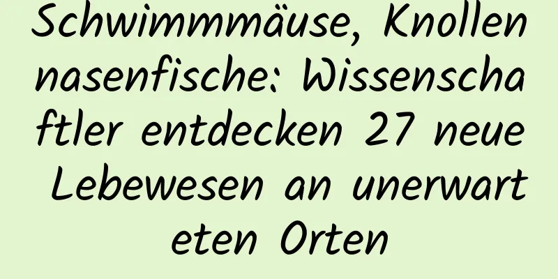 Schwimmmäuse, Knollennasenfische: Wissenschaftler entdecken 27 neue Lebewesen an unerwarteten Orten
