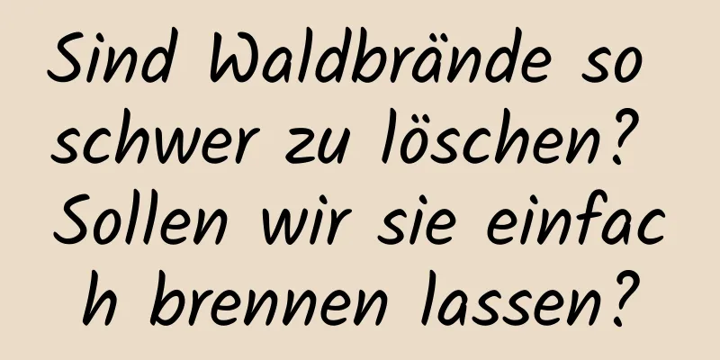 Sind Waldbrände so schwer zu löschen? Sollen wir sie einfach brennen lassen?