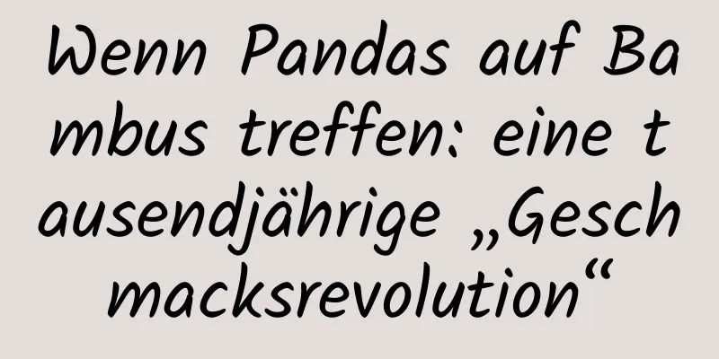 Wenn Pandas auf Bambus treffen: eine tausendjährige „Geschmacksrevolution“