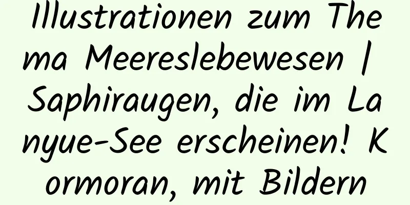 Illustrationen zum Thema Meereslebewesen | Saphiraugen, die im Lanyue-See erscheinen! Kormoran, mit Bildern