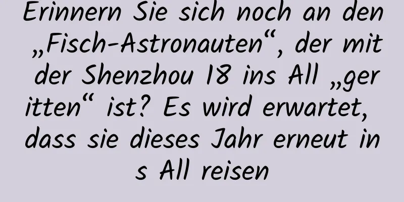 Erinnern Sie sich noch an den „Fisch-Astronauten“, der mit der Shenzhou 18 ins All „geritten“ ist? Es wird erwartet, dass sie dieses Jahr erneut ins All reisen
