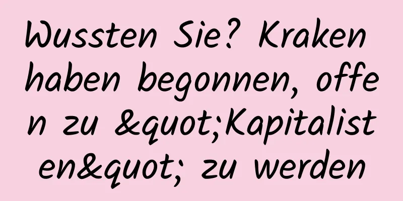 Wussten Sie? Kraken haben begonnen, offen zu "Kapitalisten" zu werden