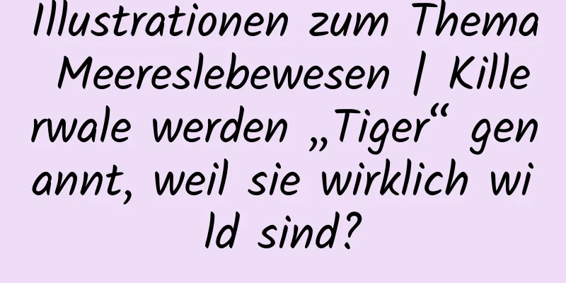Illustrationen zum Thema Meereslebewesen | Killerwale werden „Tiger“ genannt, weil sie wirklich wild sind?