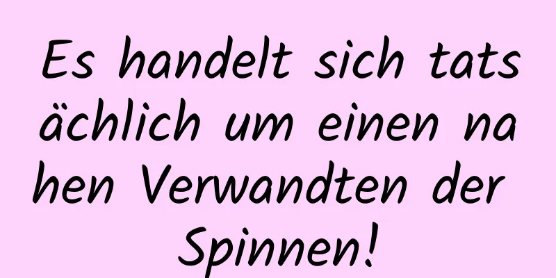 Es handelt sich tatsächlich um einen nahen Verwandten der Spinnen!