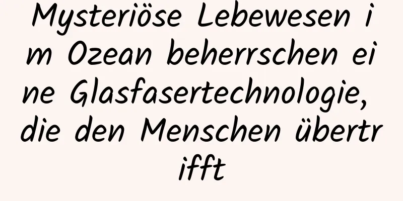 Mysteriöse Lebewesen im Ozean beherrschen eine Glasfasertechnologie, die den Menschen übertrifft
