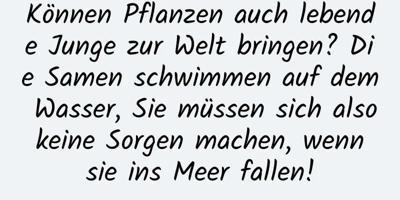 Können Pflanzen auch lebende Junge zur Welt bringen? Die Samen schwimmen auf dem Wasser, Sie müssen sich also keine Sorgen machen, wenn sie ins Meer fallen!