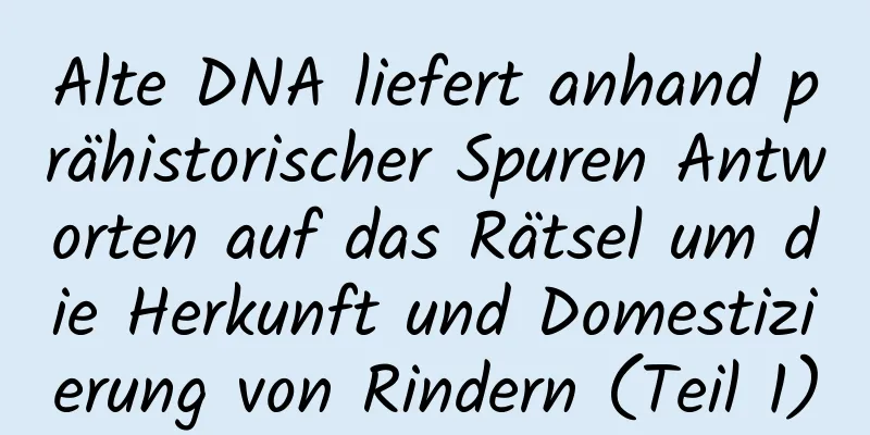 Alte DNA liefert anhand prähistorischer Spuren Antworten auf das Rätsel um die Herkunft und Domestizierung von Rindern (Teil 1)