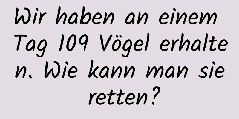 Wir haben an einem Tag 109 Vögel erhalten. Wie kann man sie retten?