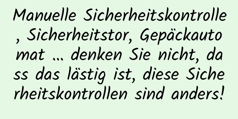 Manuelle Sicherheitskontrolle, Sicherheitstor, Gepäckautomat … denken Sie nicht, dass das lästig ist, diese Sicherheitskontrollen sind anders!