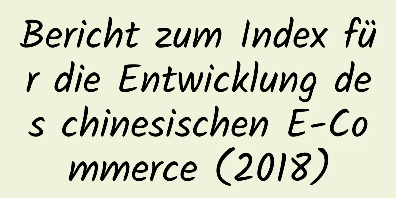 Bericht zum Index für die Entwicklung des chinesischen E-Commerce (2018)