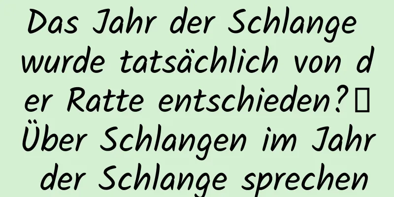 Das Jahr der Schlange wurde tatsächlich von der Ratte entschieden?丨Über Schlangen im Jahr der Schlange sprechen