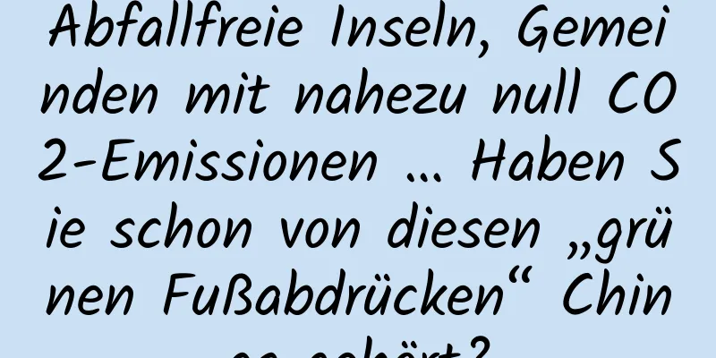Abfallfreie Inseln, Gemeinden mit nahezu null CO2-Emissionen … Haben Sie schon von diesen „grünen Fußabdrücken“ Chinas gehört?