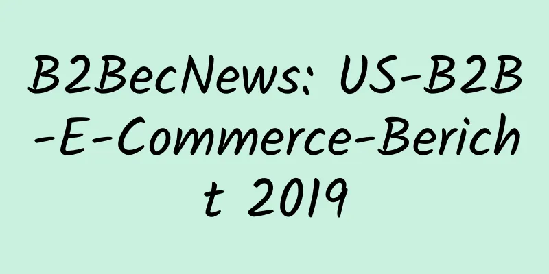 B2BecNews: US-B2B-E-Commerce-Bericht 2019