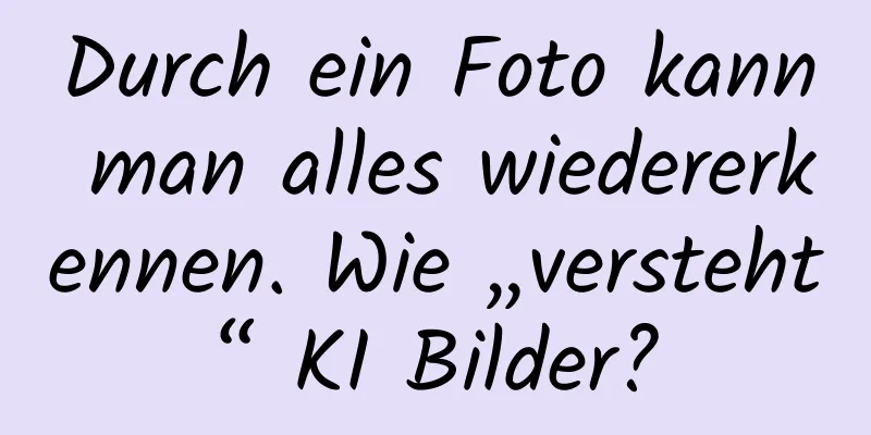 Durch ein Foto kann man alles wiedererkennen. Wie „versteht“ KI Bilder?