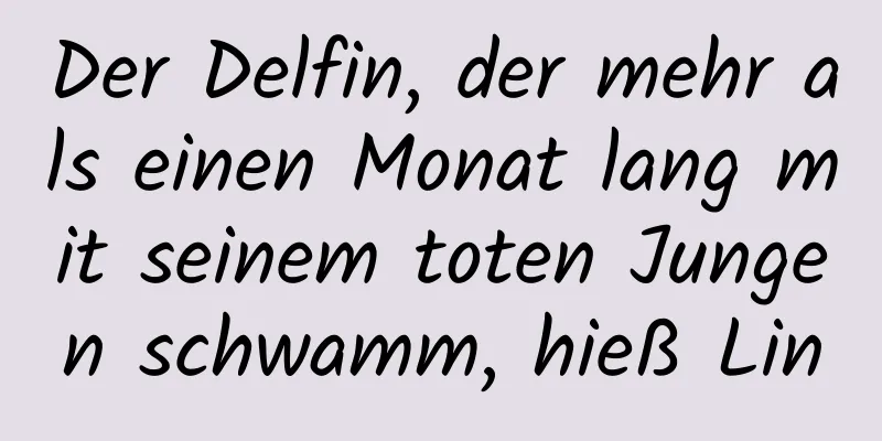Der Delfin, der mehr als einen Monat lang mit seinem toten Jungen schwamm, hieß Lin