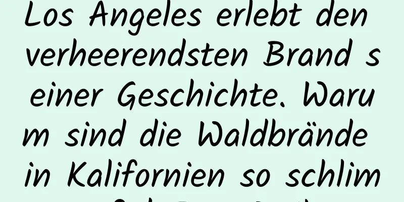 Los Angeles erlebt den verheerendsten Brand seiner Geschichte. Warum sind die Waldbrände in Kalifornien so schlimm? | Expo Daily