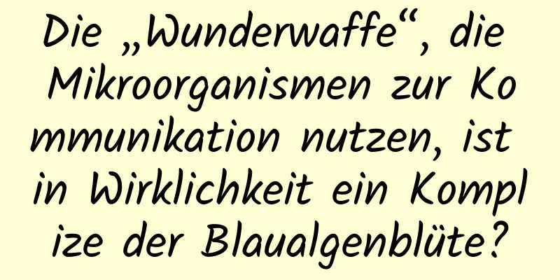 Die „Wunderwaffe“, die Mikroorganismen zur Kommunikation nutzen, ist in Wirklichkeit ein Komplize der Blaualgenblüte?